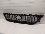 Front Lower Grille